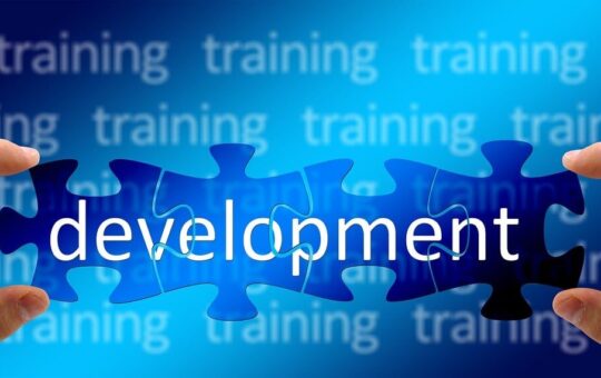 training, development, growth, to learn, profession, school, professional school, hands, keep, puzzle, concept, work, trainer, coach, banner, training, development, development, development, development, development, trainer, trainer, trainer, coach, coach, coach, coach